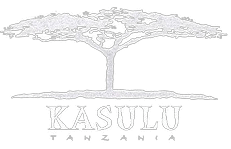 logotype